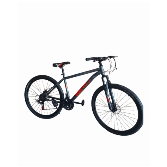 BICICLETA TOKIO ROD 29 ( 8240 )